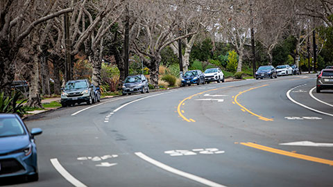 Street with bike lanes