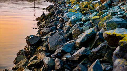 Shoreline at sunset