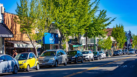 Businesses on a commercial street