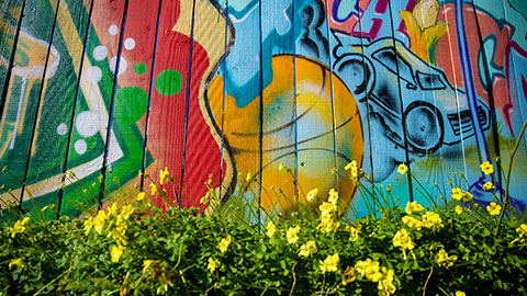 Mural on a fence