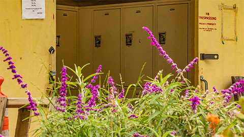 Lockers for personal belongings