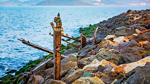 Shoreline at the marina