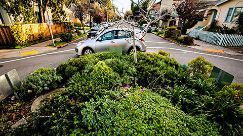 Traffic circle