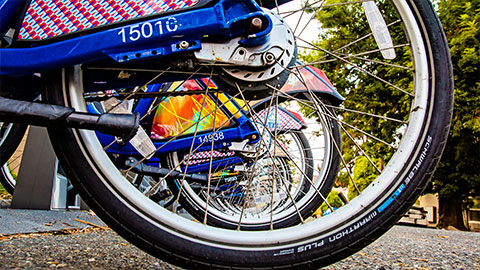 Shared bicycles at a docking station