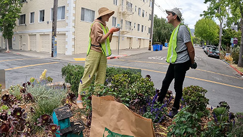 Volunteers tending to planted area inside traffic circle