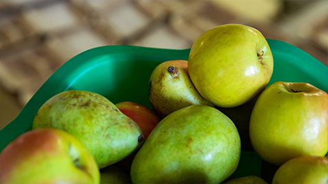 Bowl of fruit