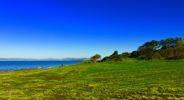 Cesar Chavez Park