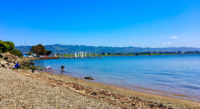 Shorebird Park Beach