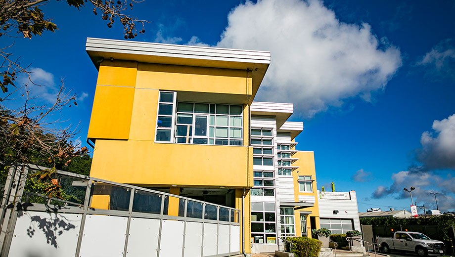Berkeley Animal Shelter