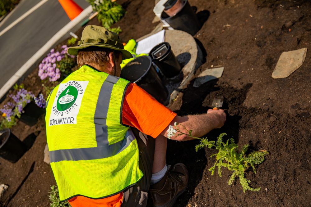 Person in an Adopt-a-Spot vest planting native plants