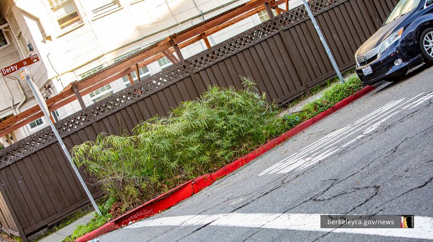 A parked car at least 20 feet -- or approximately one car length -- away from an unmarked crosswalk