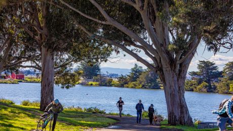 People walking dogs, biking, and strolling along a tree-shaded path beside the water at Aquatic Park.