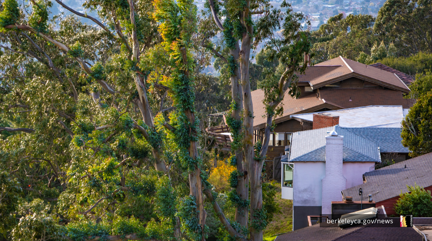 homes in the hills