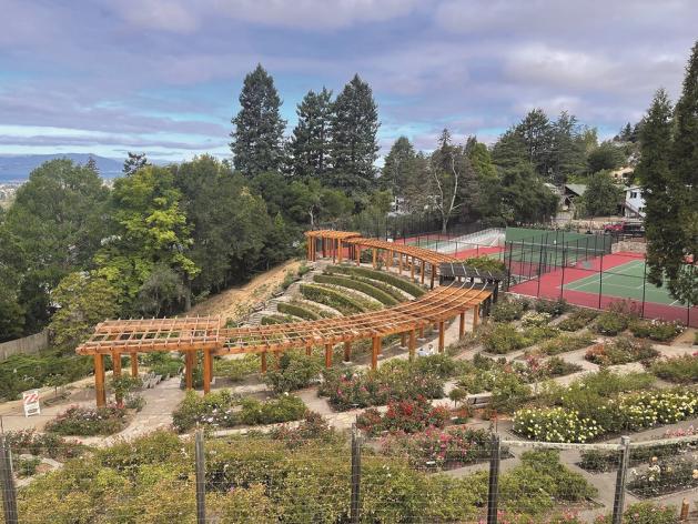 Reconstructed historic redwood pergola and trellis