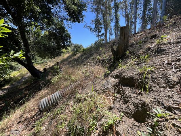Storm Culvert