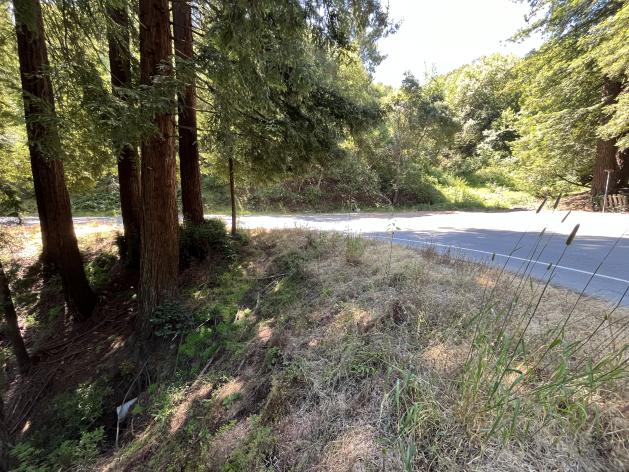 Site location at Wildcat Path