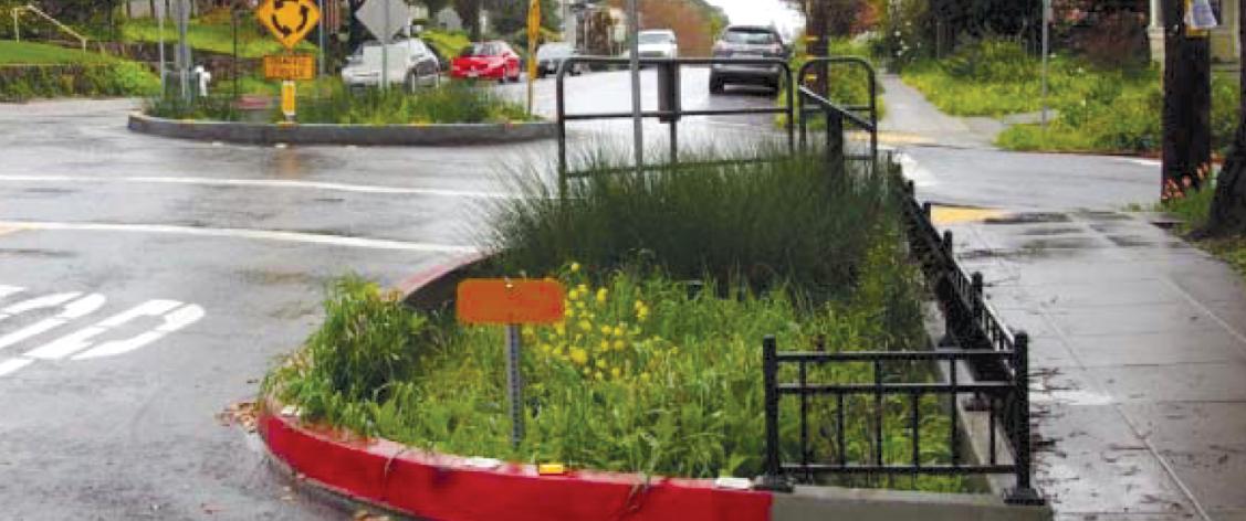 Bioswales Photo